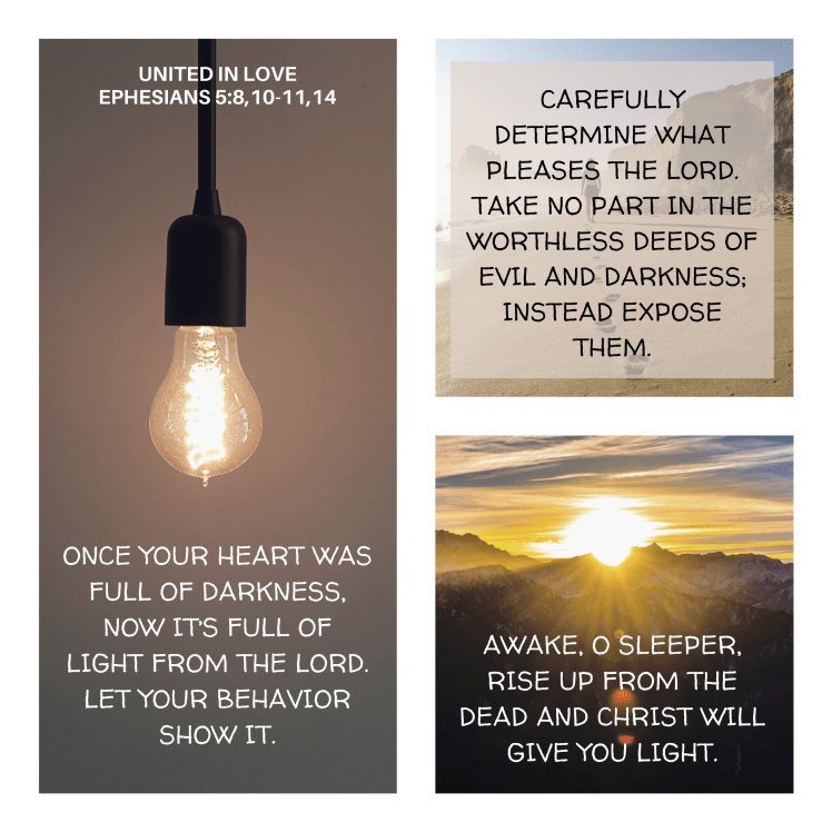 E7B825E5-B28C-46CA-9F9E-0BF8A0B244AB