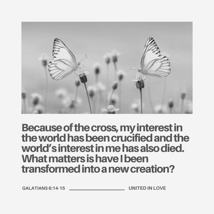 F82AC59B-AB8E-41CF-893C-2E101F02E572