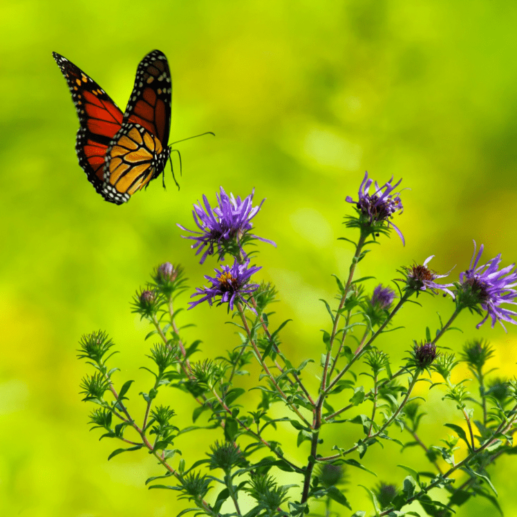 28295EDC-3D4F-46AA-B514-01AEA2F8963F